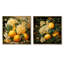 Peinture Renaissance d'un fruit du citron - fruits, ensemble de 2 impressions sur toile-533525057-533525061