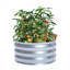 Lit de jardin surélevé en acier galvanisé Mcshane-620044158