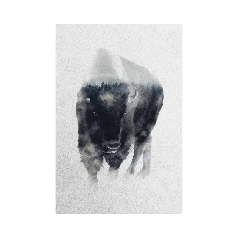 Bison In Mist by Andreas Lie - Print on Canvas, 20.32 cm H x 30.48 cm W, Wrapped Canvas