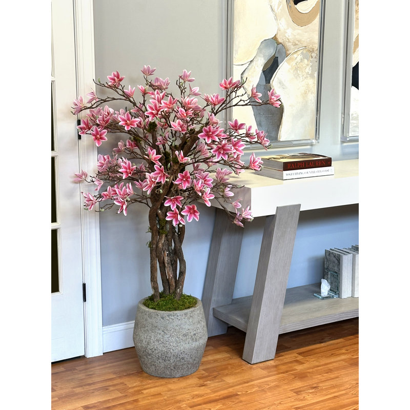 Magnolia Tree in Stone Pot