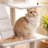 Amarina Cat Tree-85019316-113989230