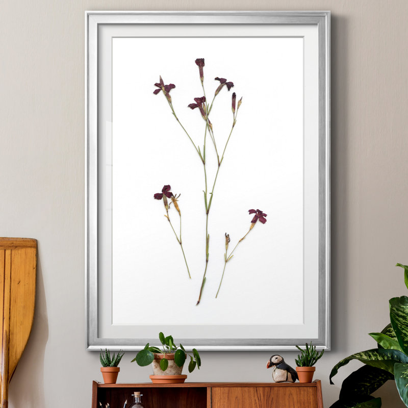 Pressed Botanical II par J Paul - reproduction d'art sur papier encadrée, H 26,5 po x l 36,5 po x P 1,5 po
