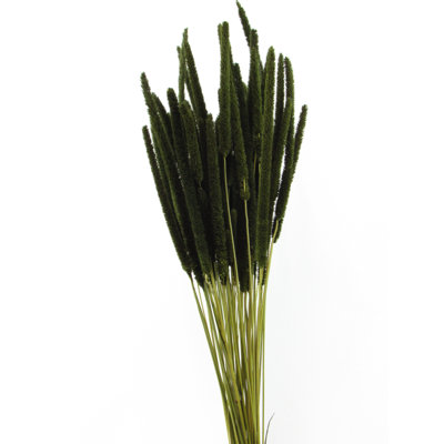 Rattail Arrangement