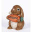 ENSEIGNE D’ACCUEIL HOLDNG CAROTTE DE LAPIN