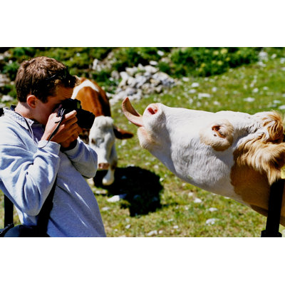 A Man Taking Picture - Wrapped Canvas Print