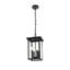 Luminaire suspendu noir de 9 po Marshall