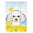 Caniche (blanc)