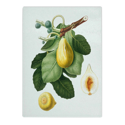 Tempered Glass a Common Fig Tree by Giorgio Gallesio Chopping Board