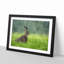 Lone Hare - Picture Frame Painting Print-56633562-56633568