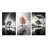 " Rainbow Grayscale Arc Over Tree " 3 - Pieces-862547147-862547146