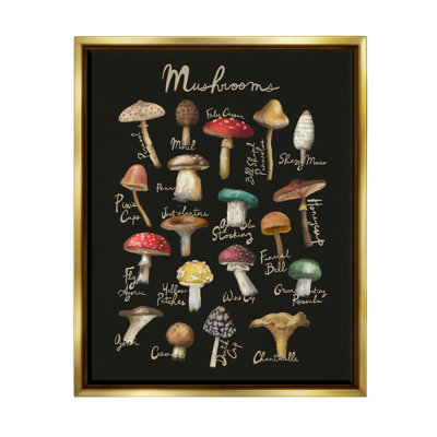 " Varied Mushrooms Kitchen Chart " Graphic Art Print