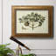 Delicate Botanical IV - reproduction d'art sur toile encadrée-1113424341