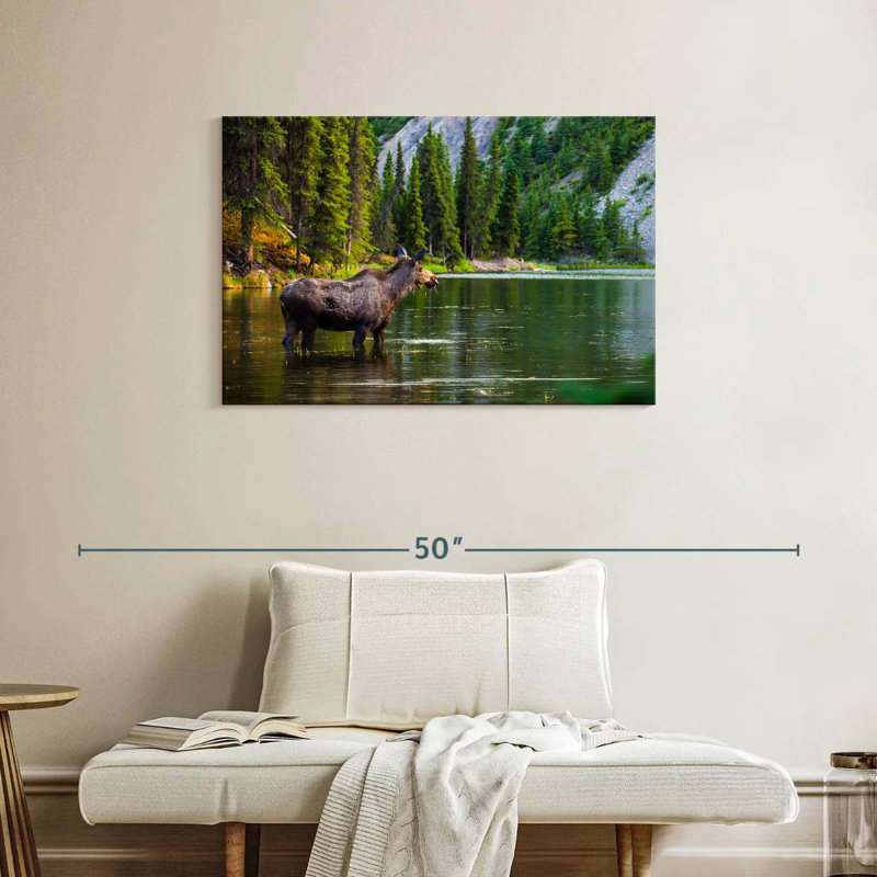 Brampt Bathing Alaskan Moose, 24" H x 36" W