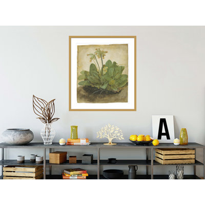 «Touft of Cowslips» par Albrecht Dürer, impression giclée sur cadre