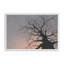 «Gnarled Tree I» par Michael Willett, reproduction d'art-1595130699-1595130701-1595130693