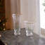 Glass Wine Glass