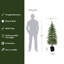 Sapin de Noël artificiel de style cèdre vert naturel, pré-illuminé, de 1,5 m (5 pi), en pot noir avec 8 modes d'éclairage