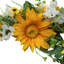 Faux Sunflower 40cm Wreath