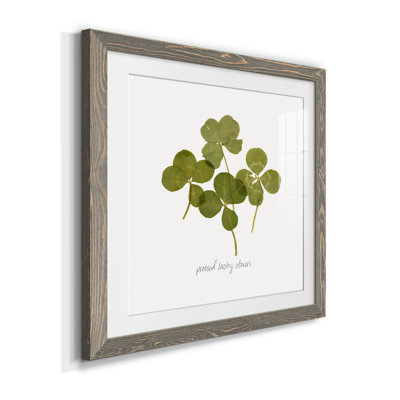 «Pressed Clover I», reproduction encadrée de qualité supérieure - prête à être accrochée