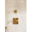Castia by Studio McGee Rite-Temp Valve Trim-1757711388