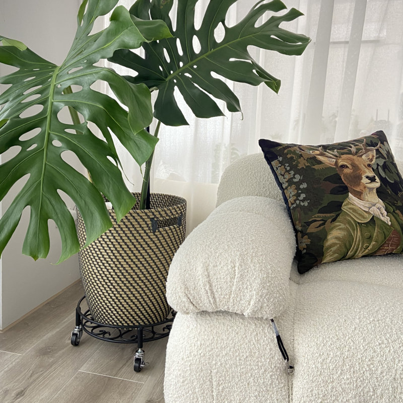 Plateau pour plante en métal Banush, Noir, 16,8 po x 4,75 po