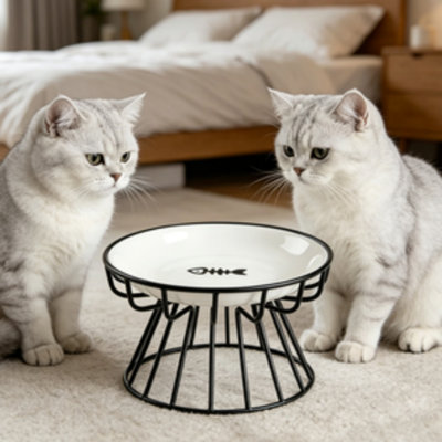 Bol pour chat surélevé en céramique avec support en métal, plat pour animaux pour chat