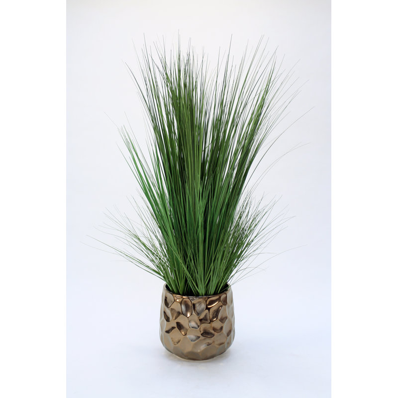 49 " H Faux Onion Grass in Ceramic Planter