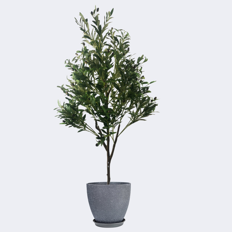 Pots ronds en résine d'olivier artificiel de type A avec plateau, Gris foncé, 15.75" H x 59.06" W x 15.75" D