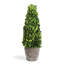 Alby Faux Plant-627489289