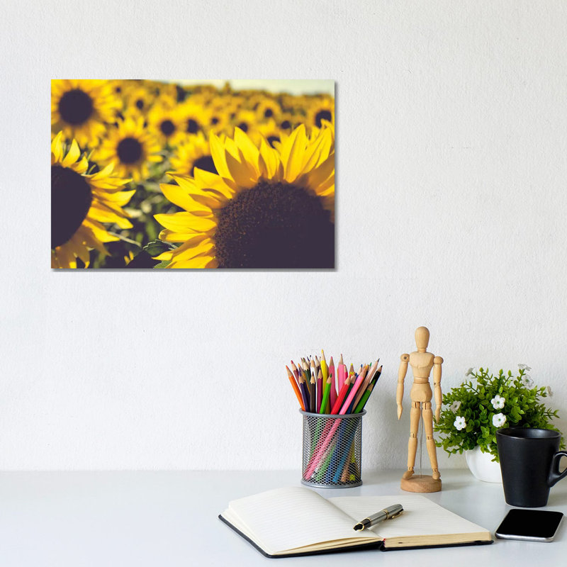 Dreamy Summer Sunflowers II by Olivia Joy StClaire - Wrapped Canvas Print, 20.32 cm H x 30.48 cm W