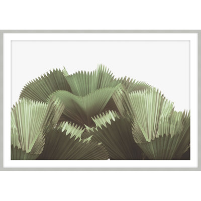 Tropical Leaves 1 Print by Studio L57 Narrative