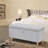 Dayvian 39.3" Storage Ottoman Bench for End of Bed-1363096997