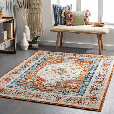 Aldusa Oriental Indoor Rug