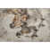 Premium Machine Washable Varroville AMF1718 Animal Rug