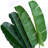 5ft Artificial Banana Leaf Tree Peacock-Shaped Faux Palm Plant