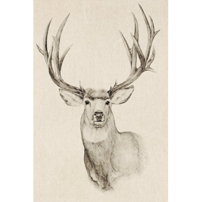 Natural Buck II by Annie Warren - Painting