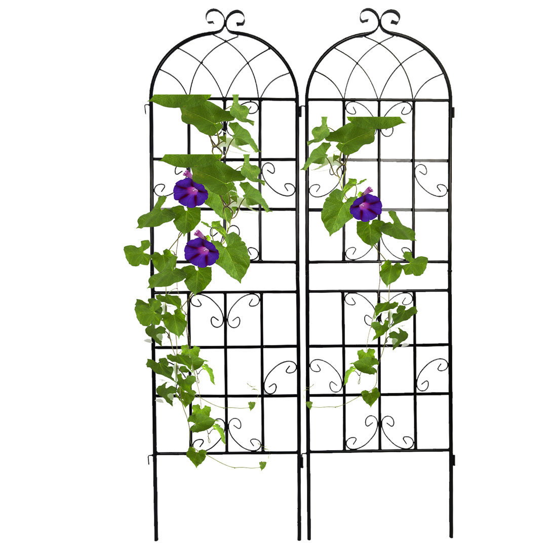 Klair Iron Arched Trellis (Set of 2) Red Barrel Studio® 