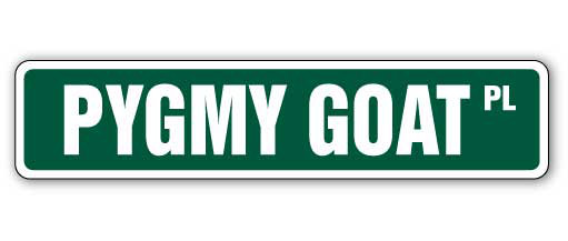 Plaque de rue pygmée en plastique robuste 6 po x 24 po
