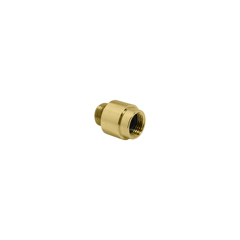 Aspirateur externe hansgrohe en optique or brossé, Or brossé