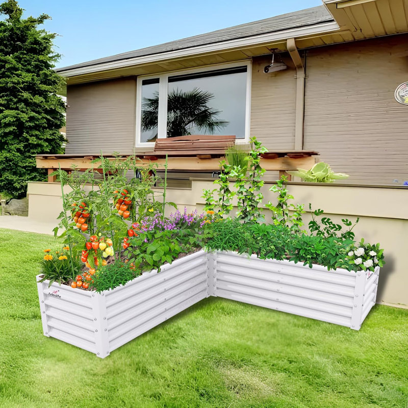 L-Shaped Galvanized Raised Garden Beds Outdoor,74X74X18In Large Metal Planter Box, White