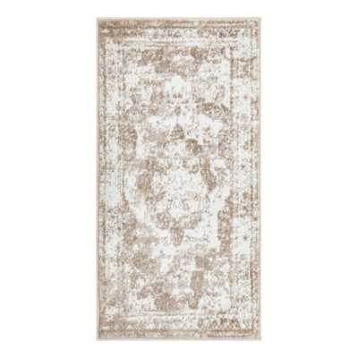 Coblitz Oriental Indoor Rug