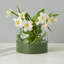 Vase 2 en 1 à fleurs festonnées - Blanc/Vert de sapin-946938863