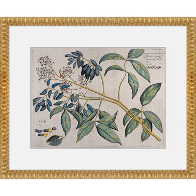 Art mural Martha Stewart Bedford, Orchard Botanical: Olive Branch, 17,75 po x 21,75 po, décor de salon et de chambre à coucher, encadré