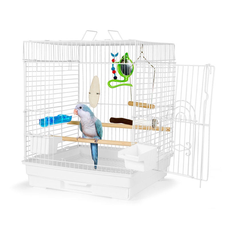 Medium Bird Cage Starter Kit