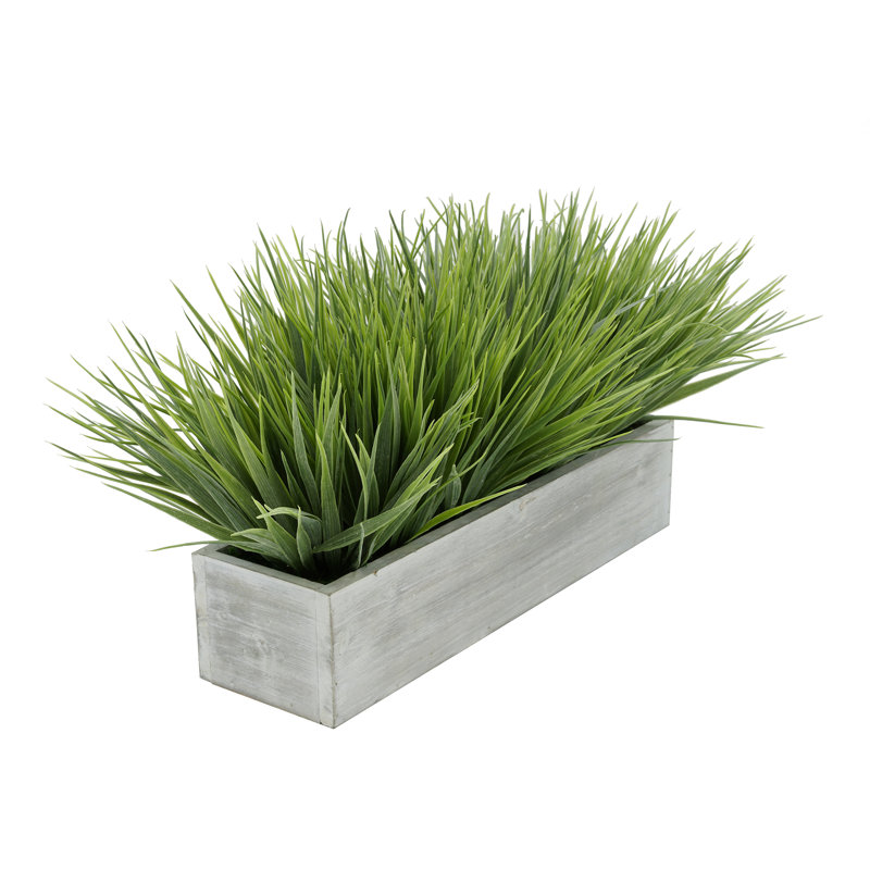 Herbe d'oignon artificielle en pot, Gris, H 10 po x l 21 po x P 10 po, Vert pâle