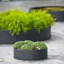 Poula Handmade Planter