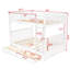 Lit Felske par Harriet Bee-535089850-472643872