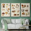 " Mushroom Species I " 3 - Pieces-91891185-91891190