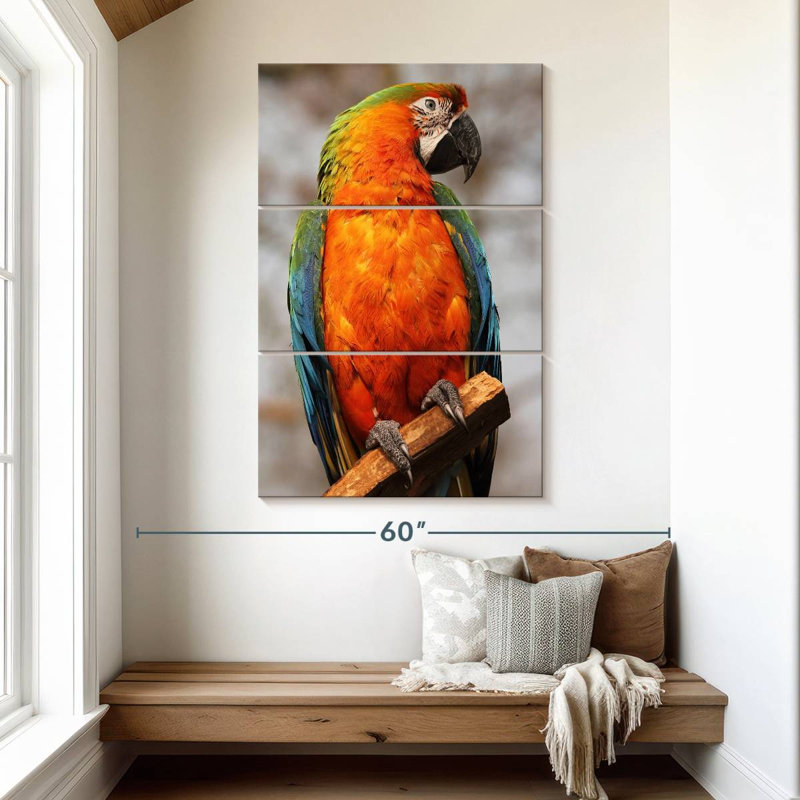 Brampt Catalina Macaw, 50" H x 32" W