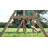 Backyard Discovery Buckley Hill All Cedar Swing Set